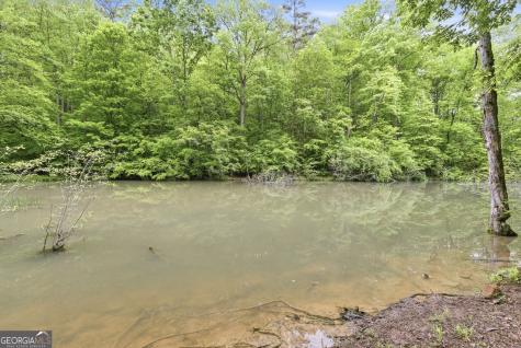 521 River Bridge Trail Cornelia GA 30531