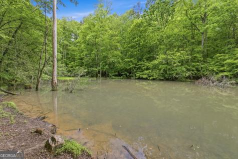 521 River Bridge Trail Cornelia GA 30531