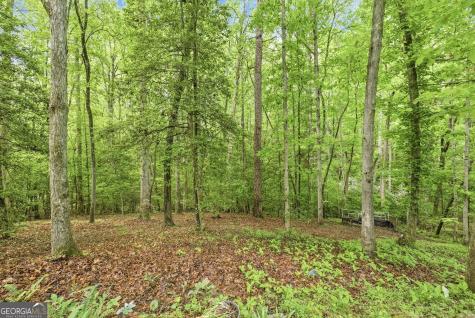 521 River Bridge Trail Cornelia GA 30531