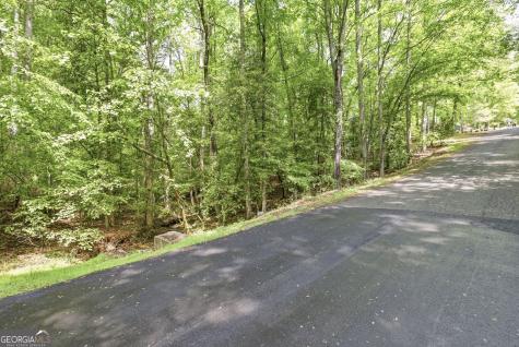 521 River Bridge Trail Cornelia GA 30531