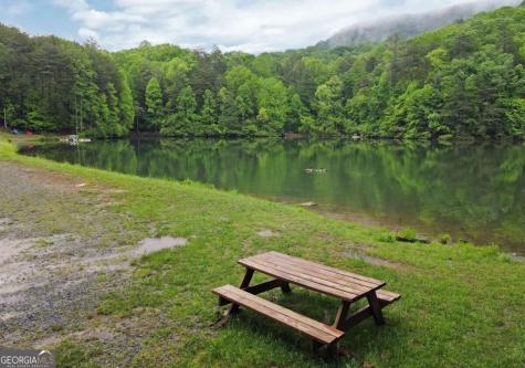 66 Pine Ridge Court Ellijay GA 30536