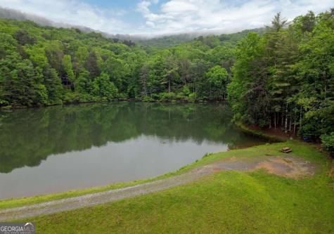 66 Pine Ridge Court Ellijay GA 30536