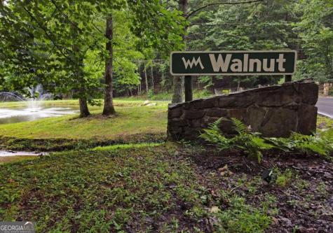 66 Pine Ridge Court Ellijay GA 30536