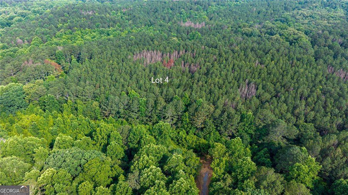 Lot 4 136 Highway 136 Connector Talking Rock GA 30175