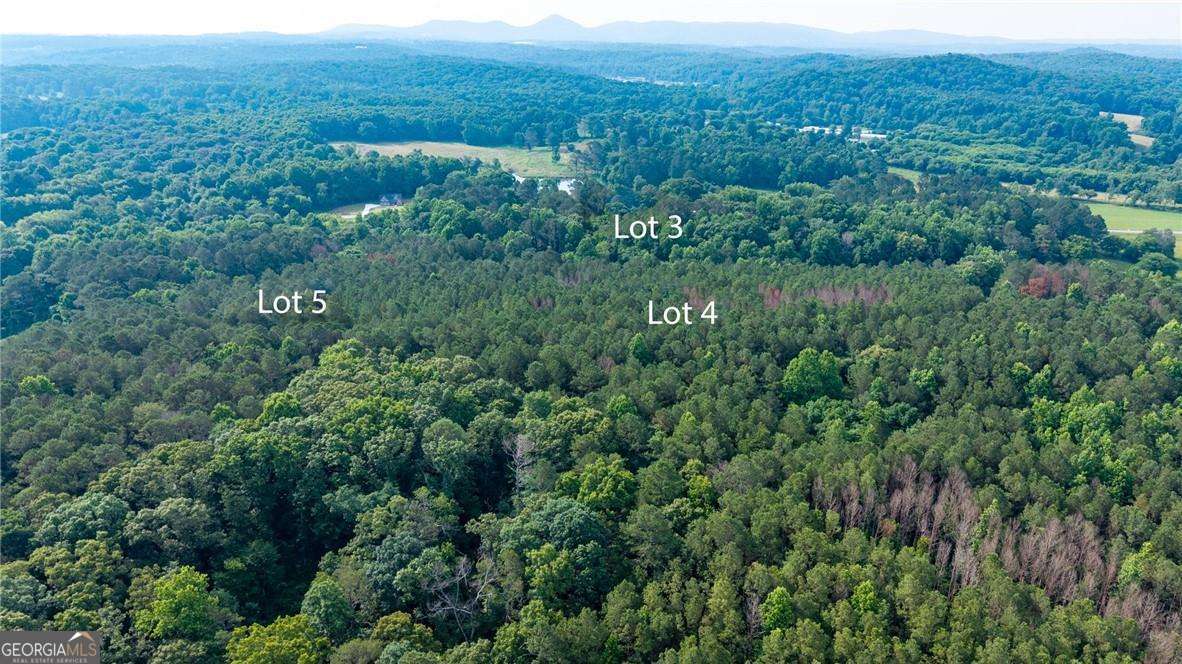 Lot 4 136 Highway 136 Connector Talking Rock GA 30175