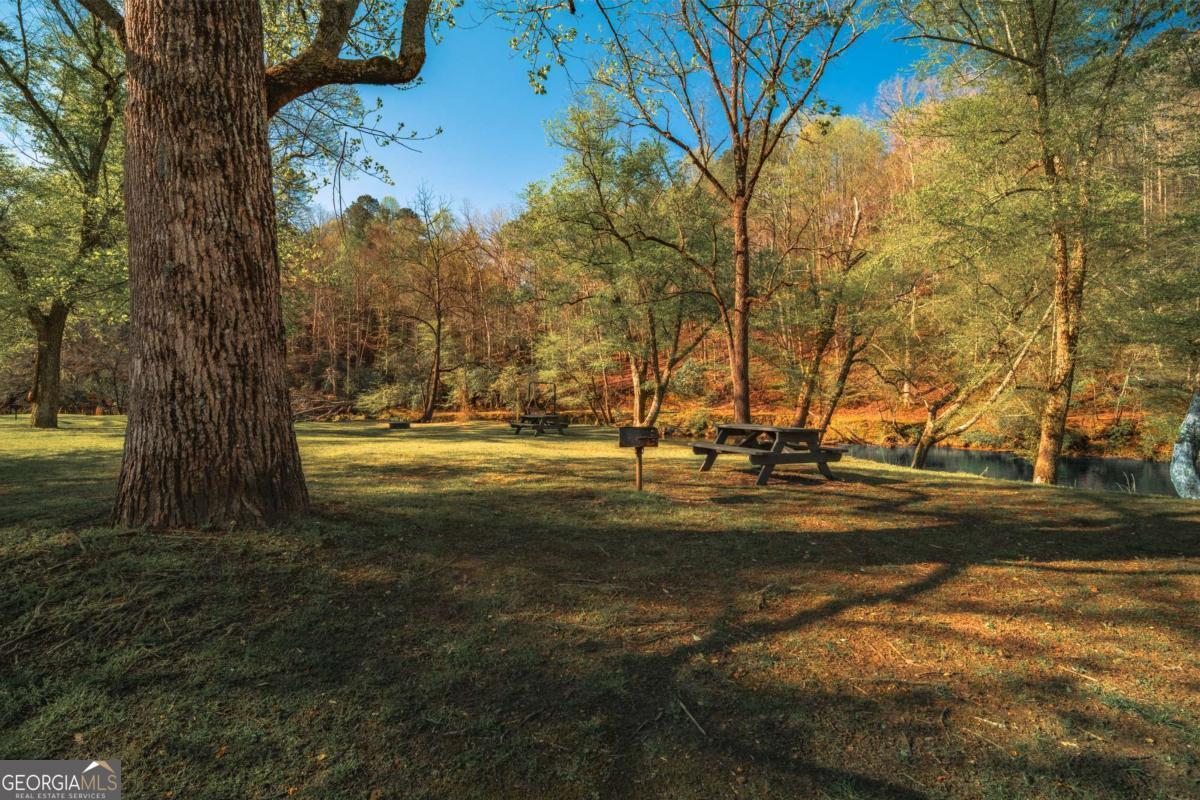 253 Zenith Trail Ellijay GA 30540