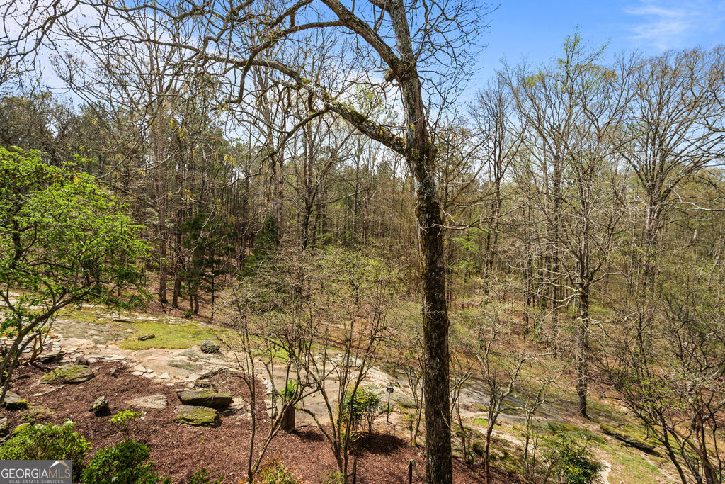 1116 Astoria Lane Peachtree City GA 30269