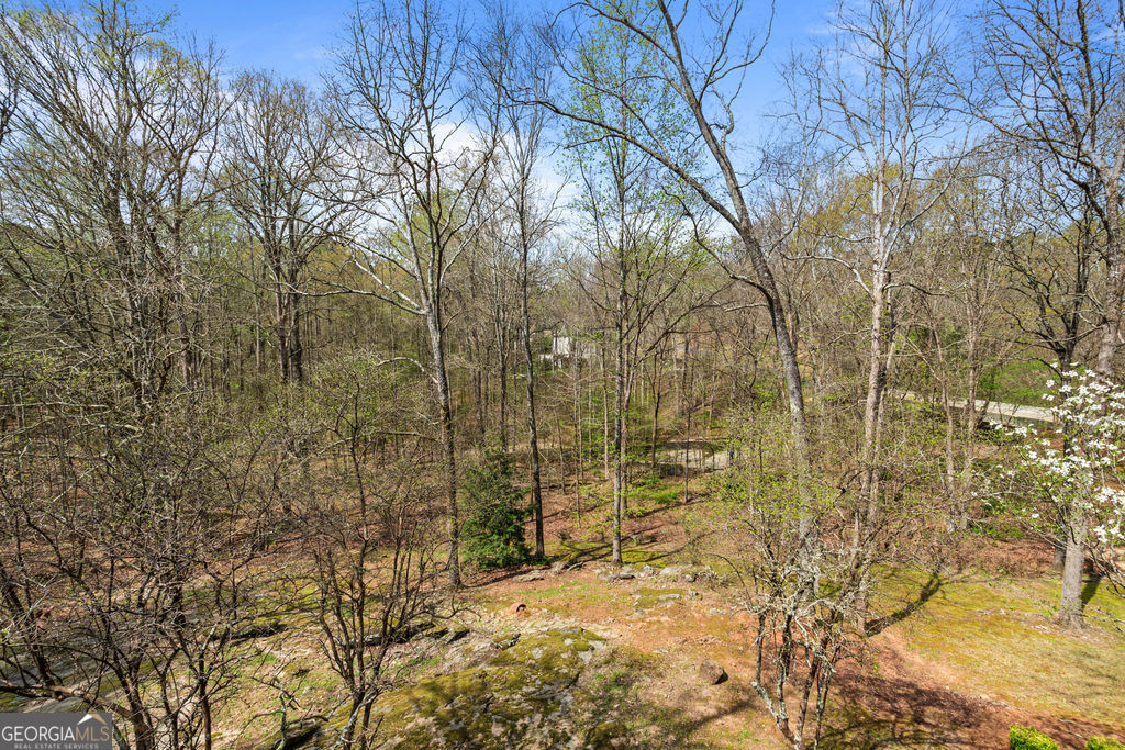 1116 Astoria Lane Peachtree City GA 30269