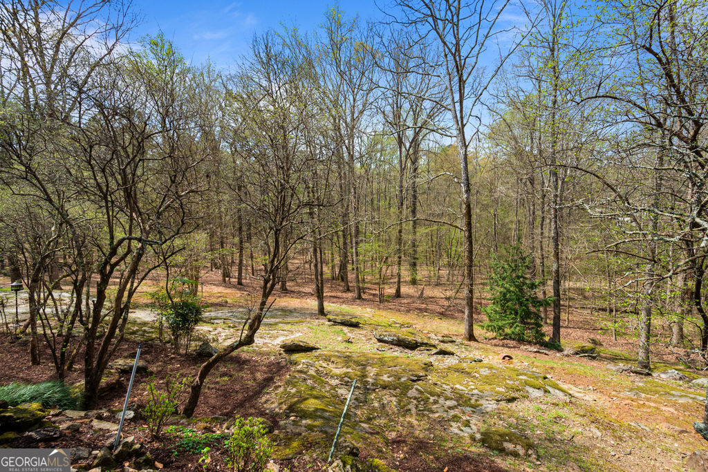 1116 Astoria Lane Peachtree City GA 30269