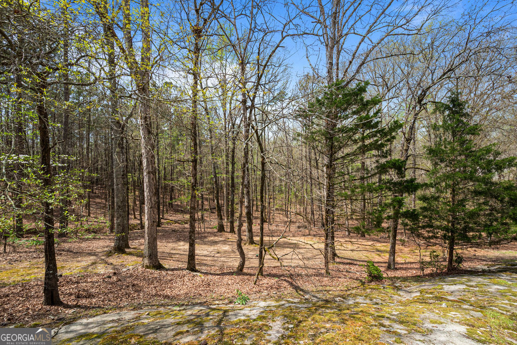 1116 Astoria Lane Peachtree City GA 30269