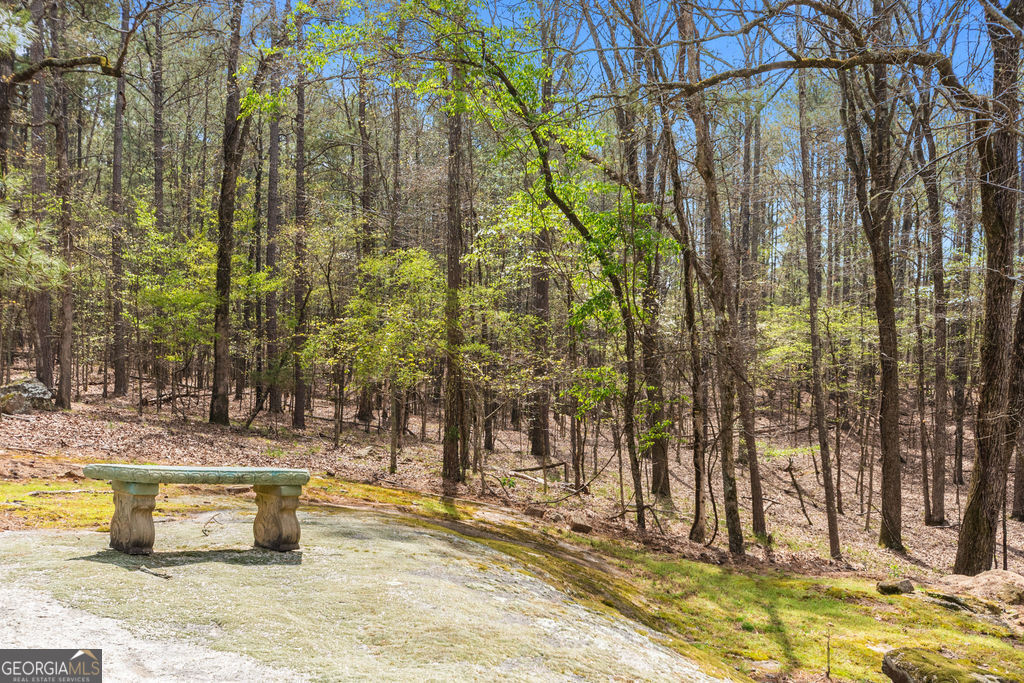 1116 Astoria Lane Peachtree City GA 30269