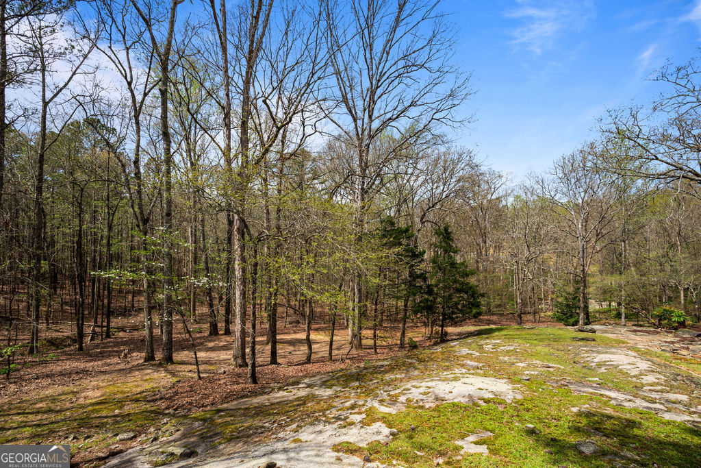 1116 Astoria Lane Peachtree City GA 30269