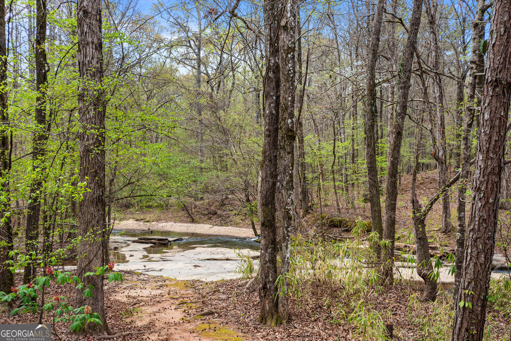 1116 Astoria Lane Peachtree City GA 30269