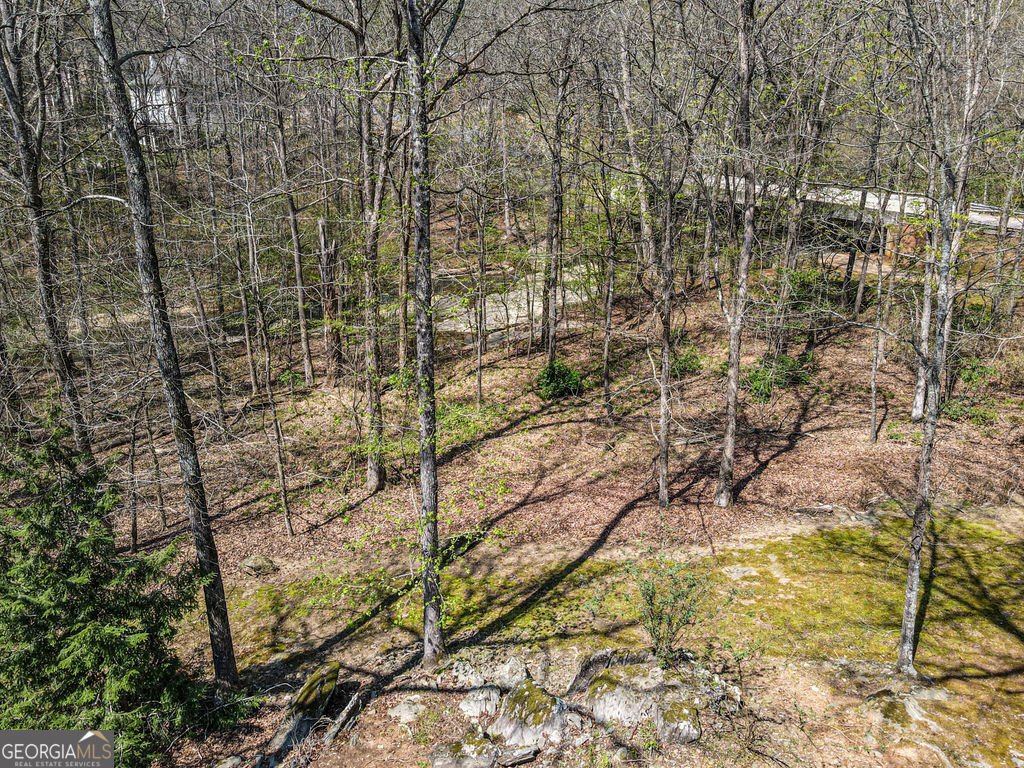 1116 Astoria Lane Peachtree City GA 30269
