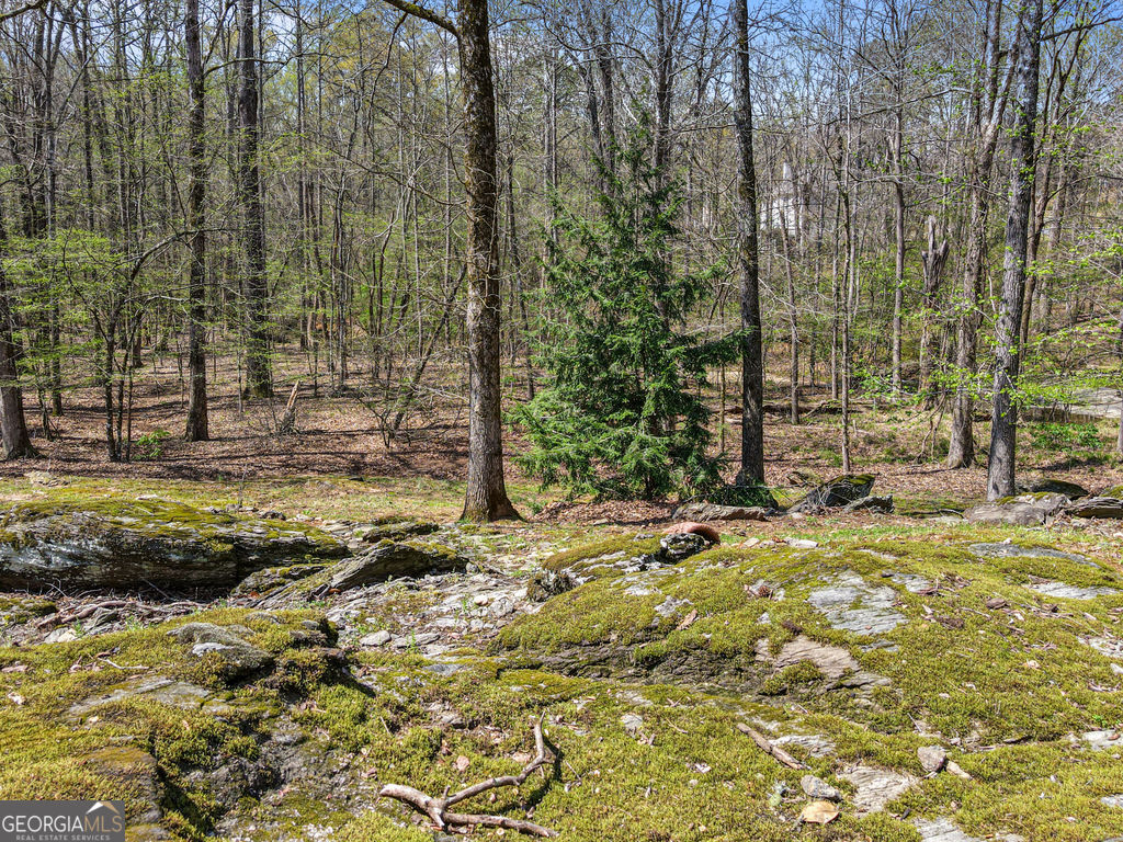 1116 Astoria Lane Peachtree City GA 30269