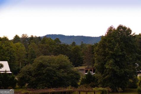 210 W Pierceville Road Mccaysville GA 30555