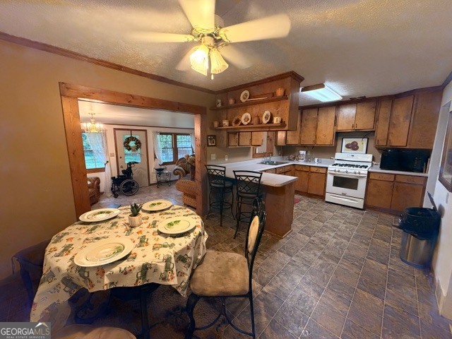 1262 Robinwood Lane Elberton GA 30635