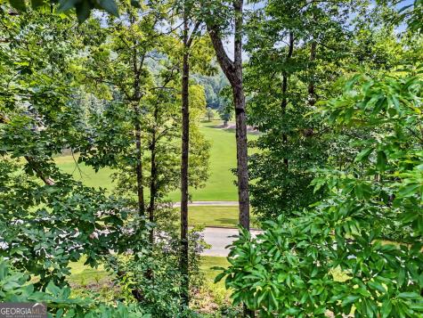 251 Shakespeare Drive Clayton GA 30525