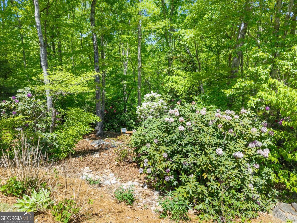 3560 Greystone Road Gainesville GA 30506