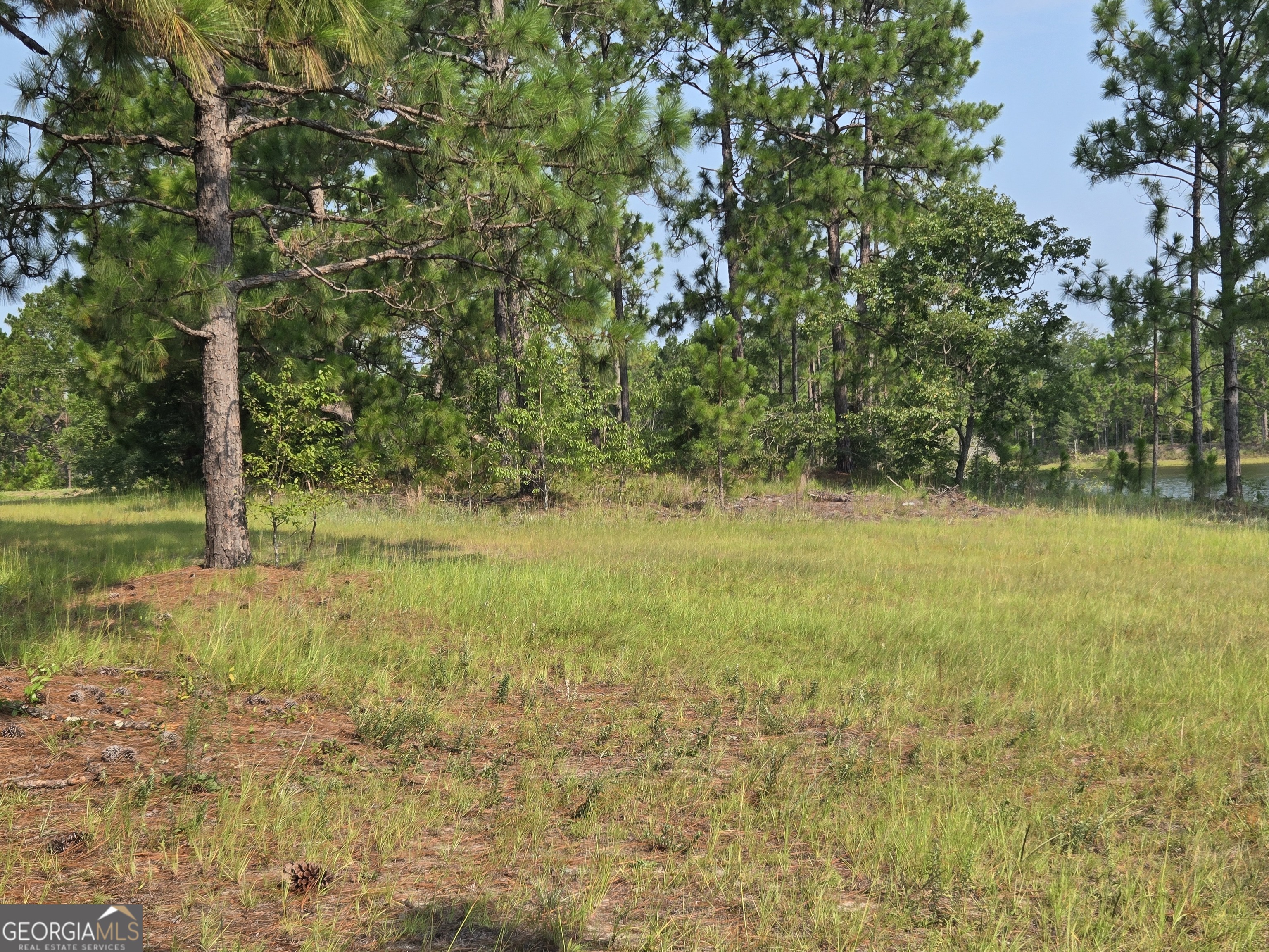 46 Tony Baker Lane Garfield GA 30425