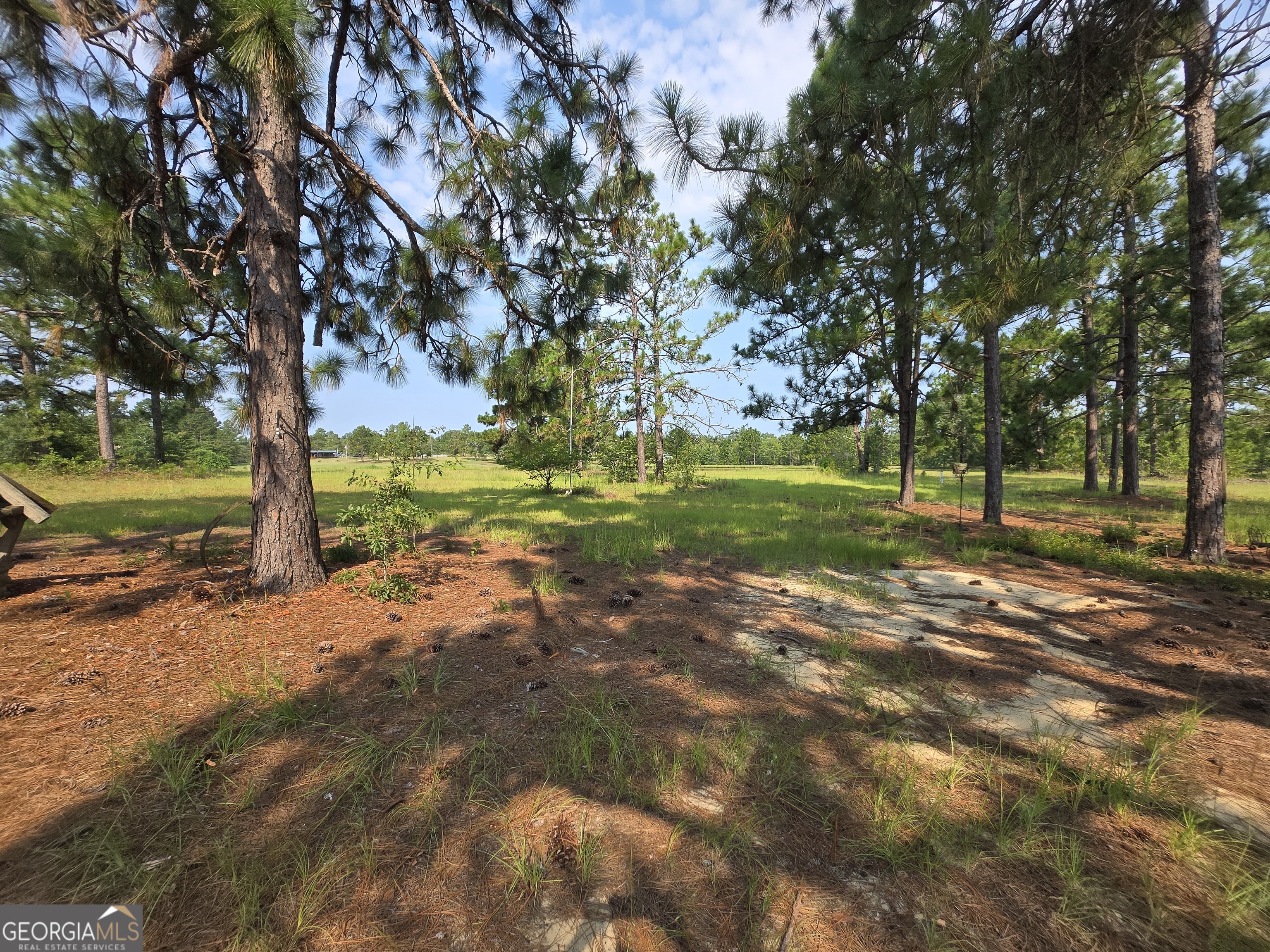 46 Tony Baker Lane Garfield GA 30425