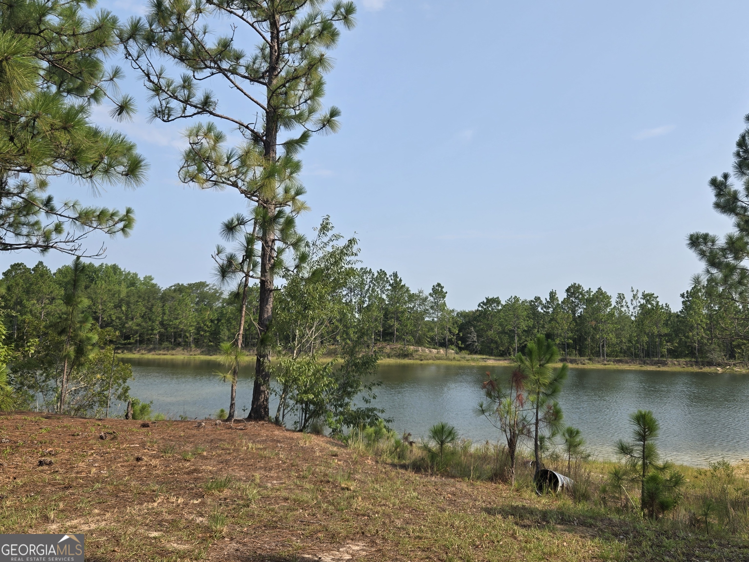 46 Tony Baker Lane Garfield GA 30425