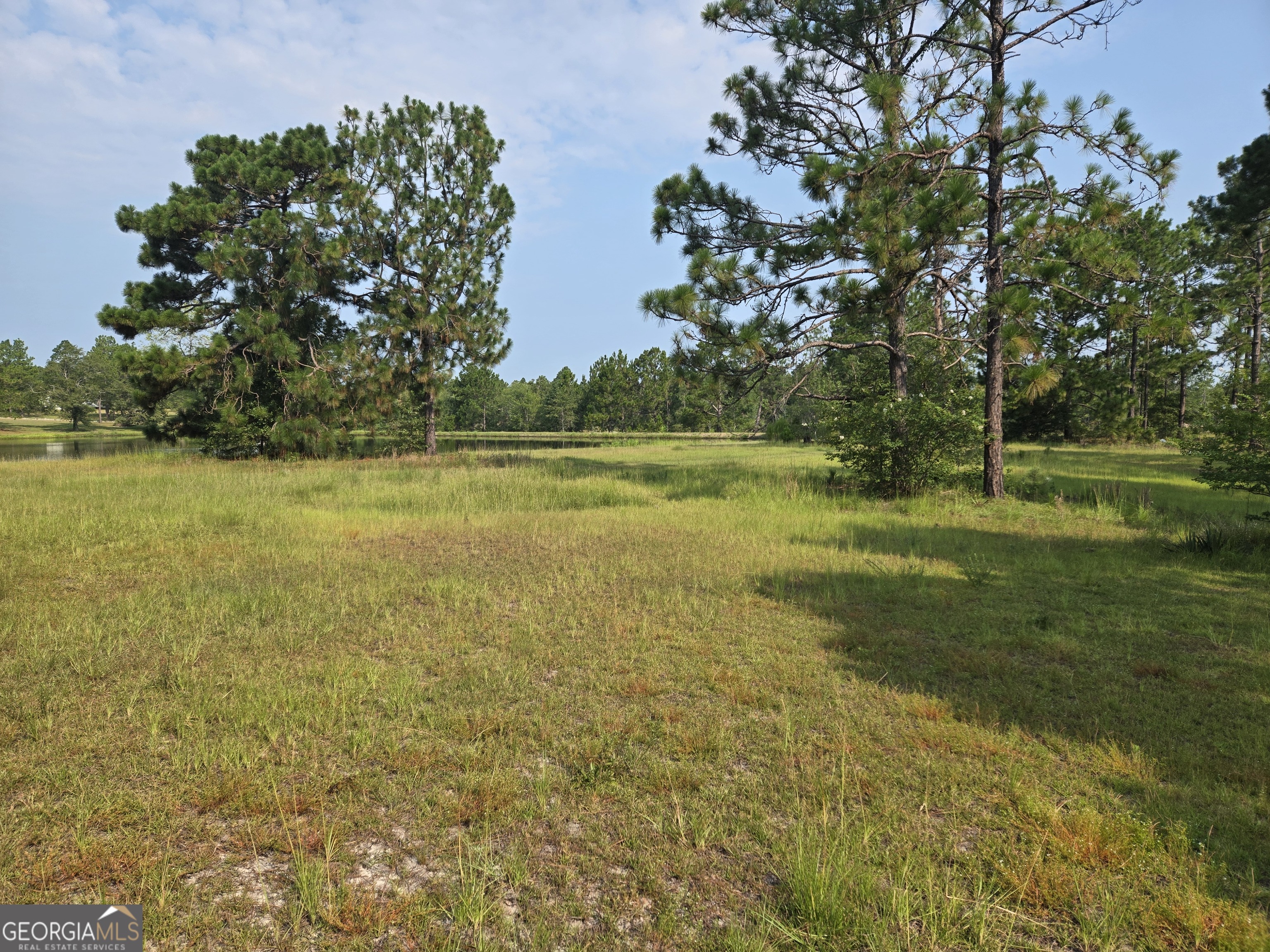 46 Tony Baker Lane Garfield GA 30425