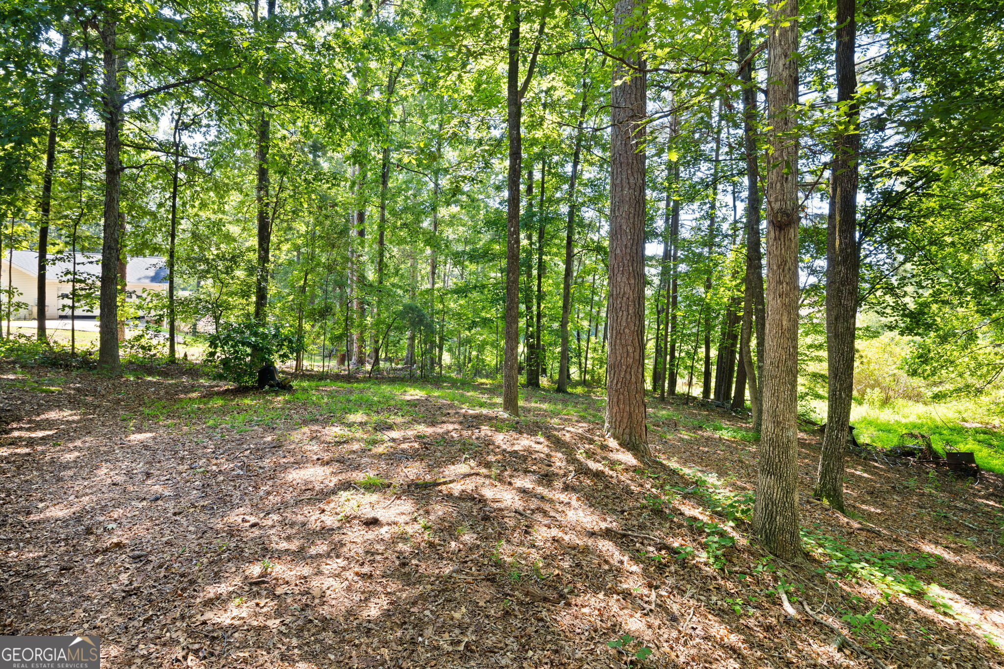 4531 Adams Court Rex GA 30273