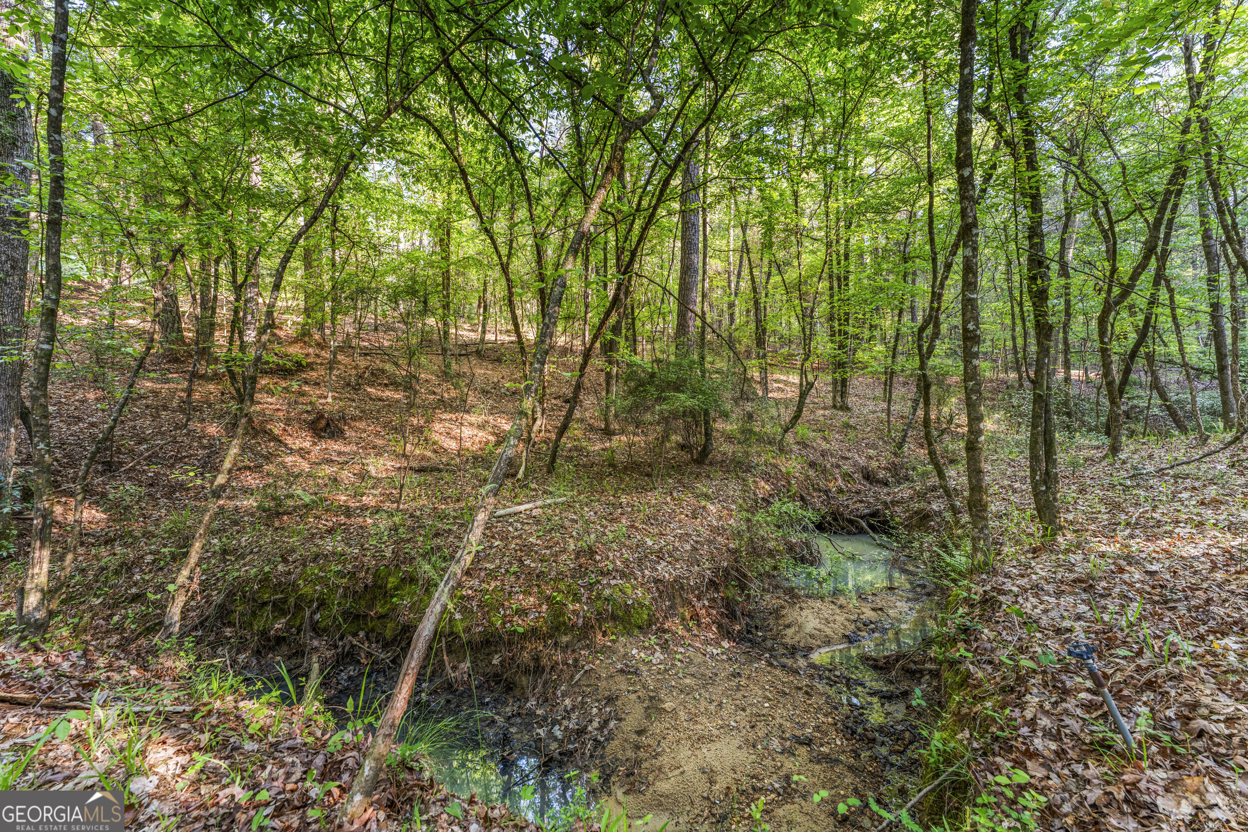 4 Mountain Ridge Court Columbus GA 31904