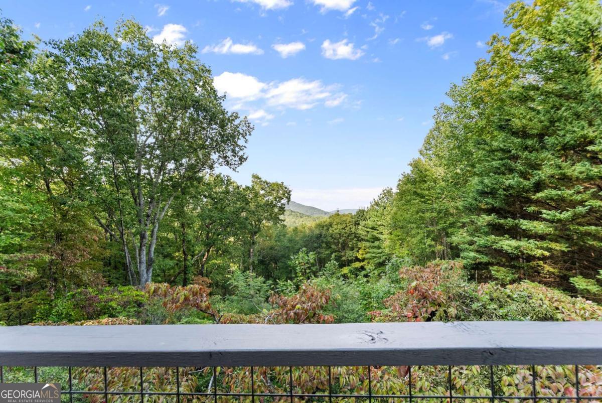 62 High Ridge Cleveland GA 30528