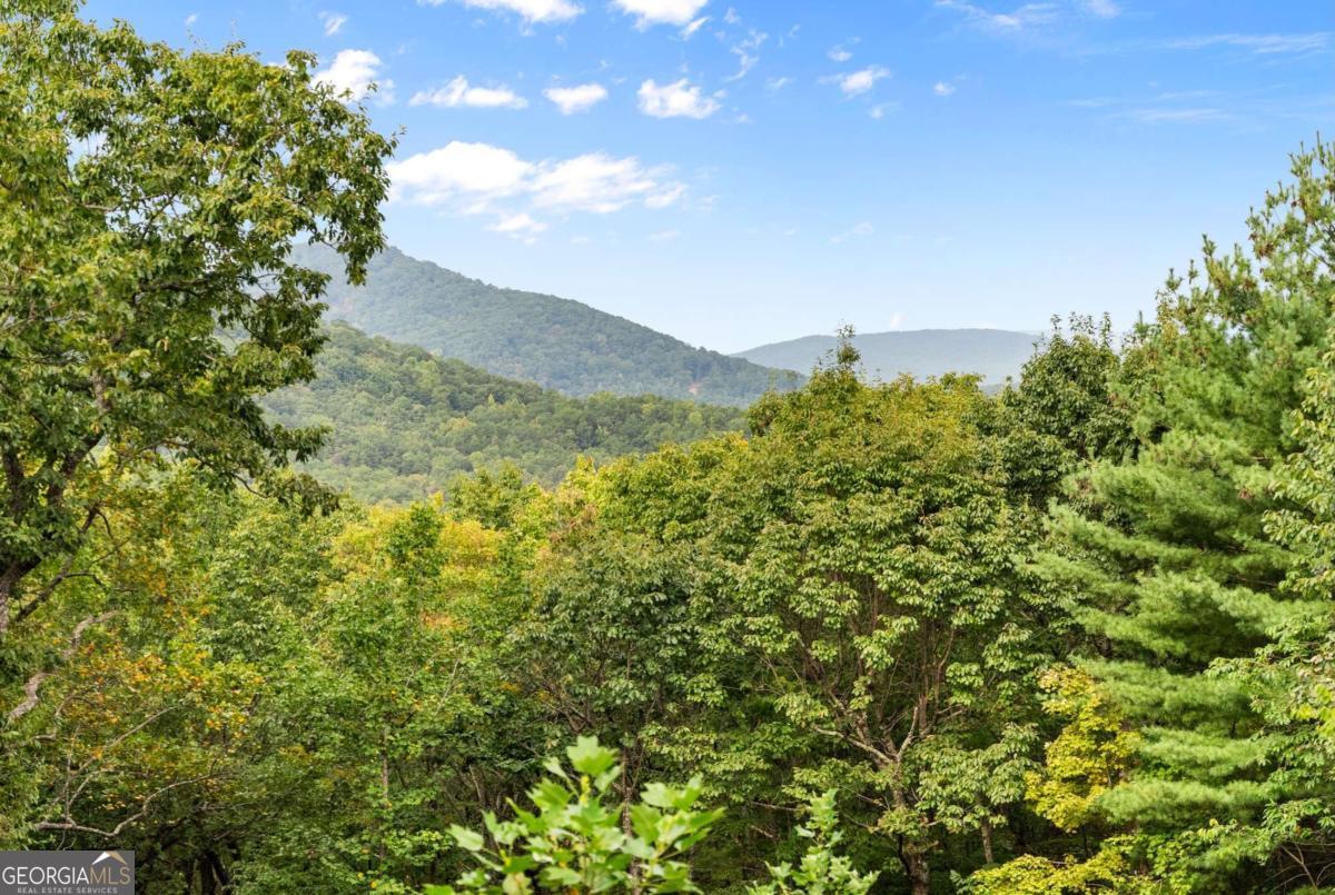 62 High Ridge Cleveland GA 30528
