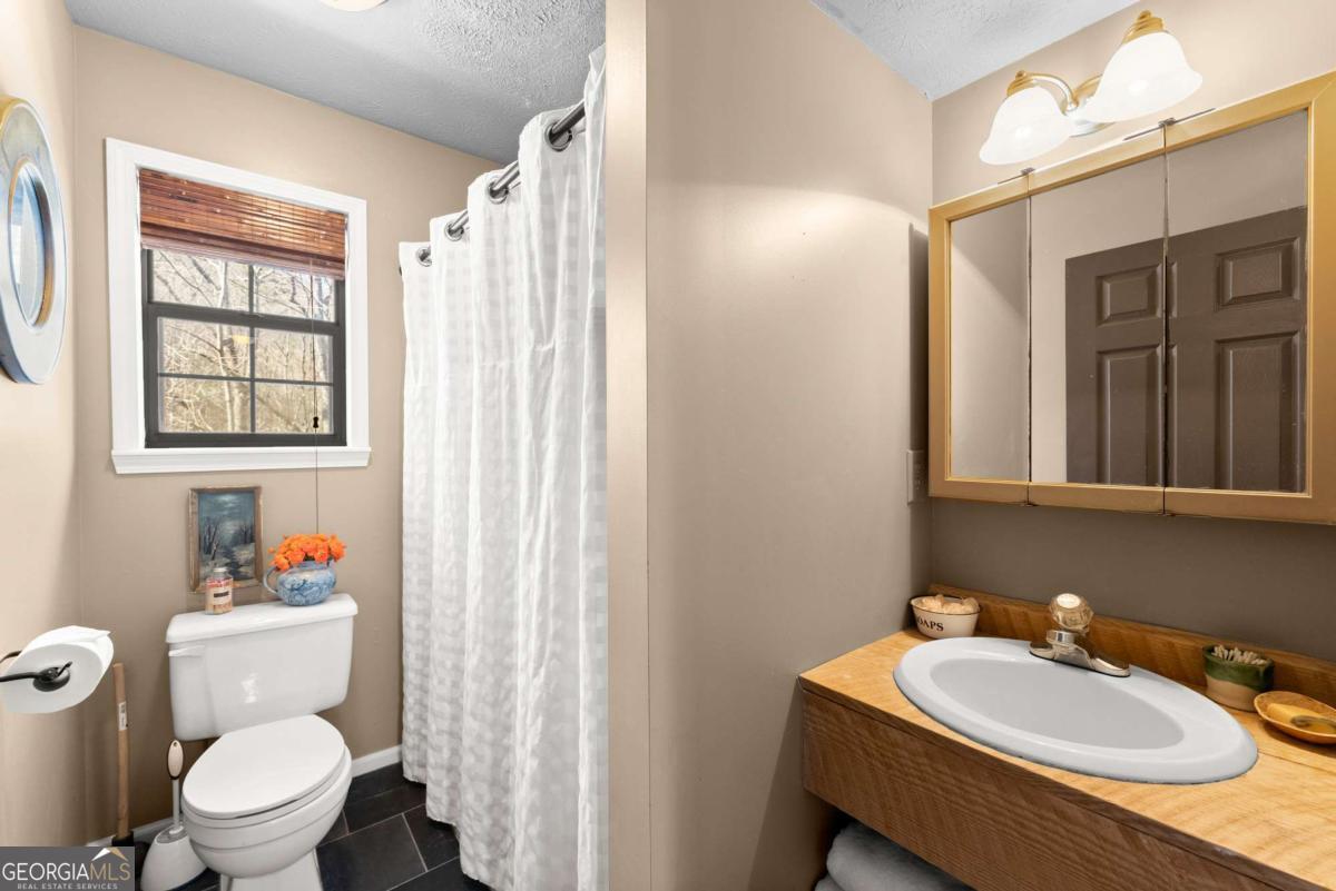 62 High Ridge Cleveland GA 30528