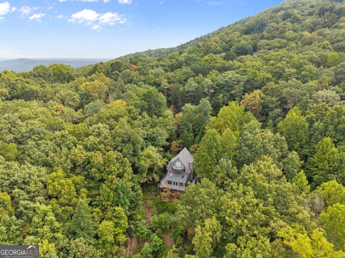 62 High Ridge Cleveland GA 30528