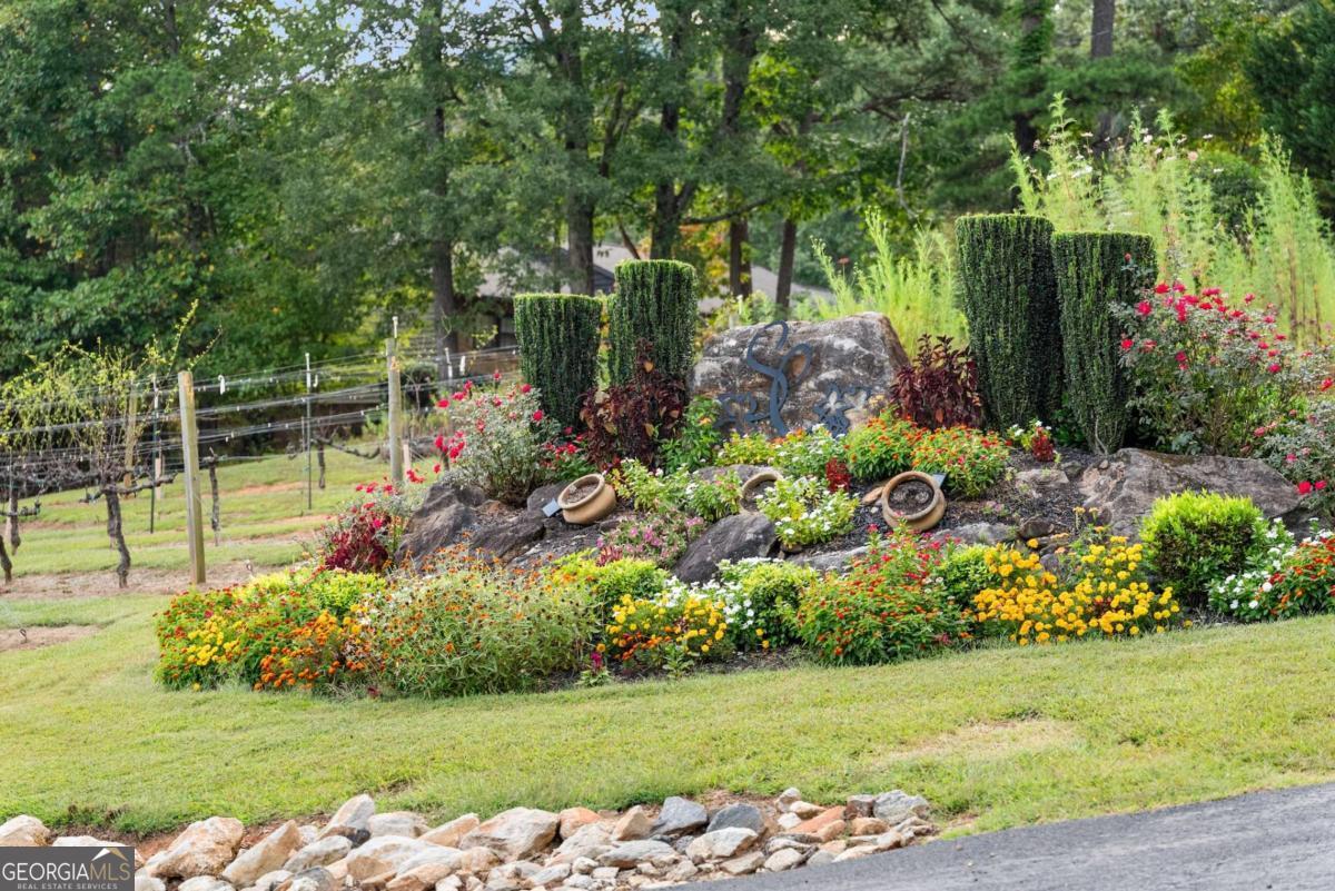 62 High Ridge Cleveland GA 30528