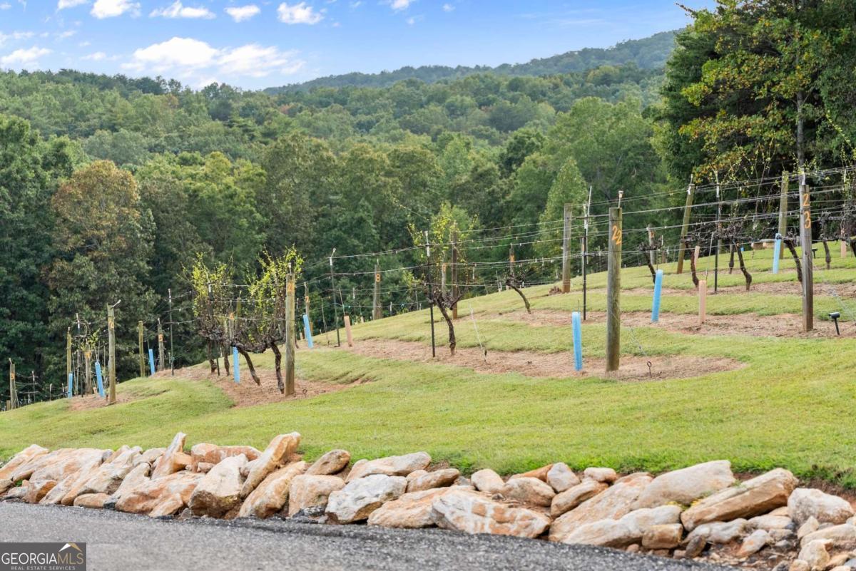 62 High Ridge Cleveland GA 30528