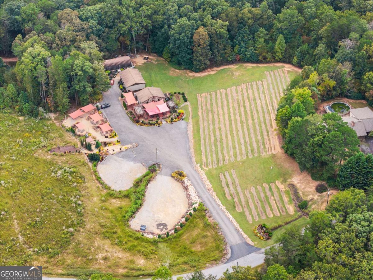 62 High Ridge Cleveland GA 30528