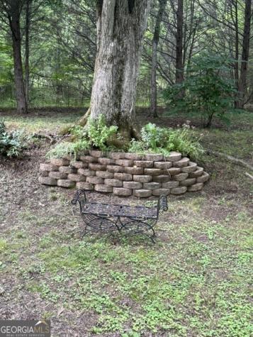531 Hidden Valley Road Cleveland GA 30528