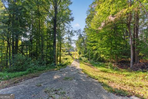 1641 Old Dahlonega Highway Dahlonega GA 30533