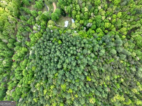14092 Big Creek Road Cherry Log GA 30522