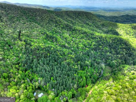 14092 Big Creek Road Cherry Log GA 30522