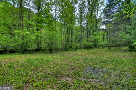 14092 Big Creek Road Cherry Log GA 30522