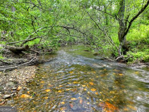 14092 Big Creek Road Cherry Log GA 30522