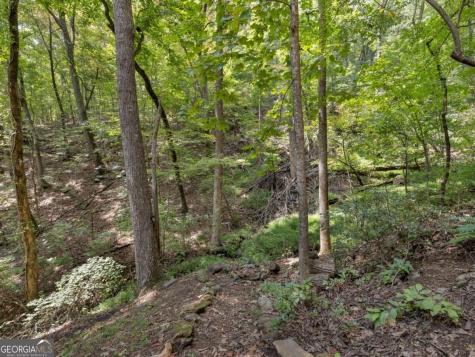 87 Garden Lane Cleveland GA 30528