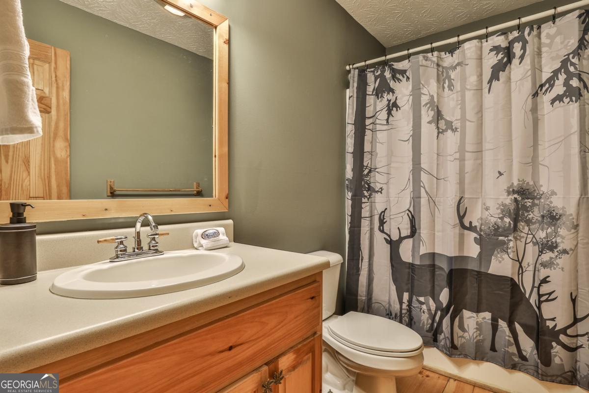 178 Novena Court Ellijay GA 30540