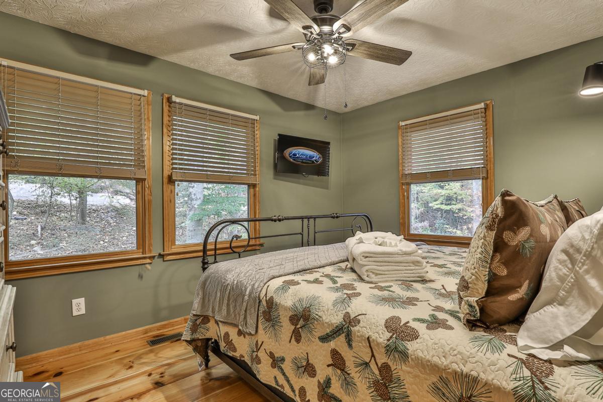 178 Novena Court Ellijay GA 30540