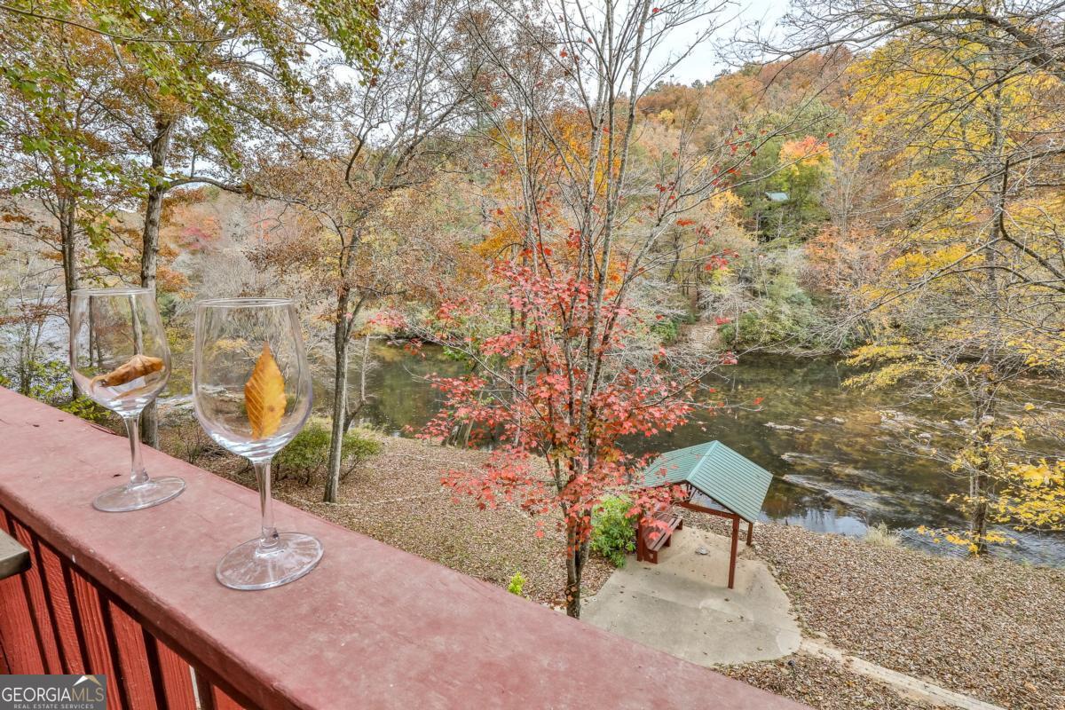 178 Novena Court Ellijay GA 30540