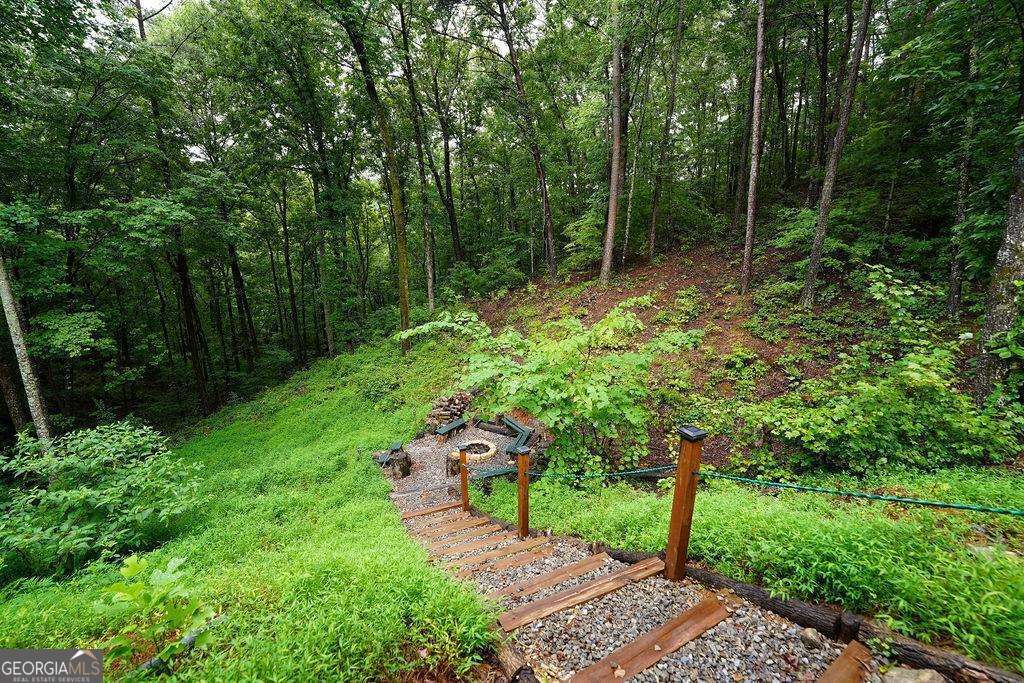 85 Hunter Drive Talking Rock GA 30175
