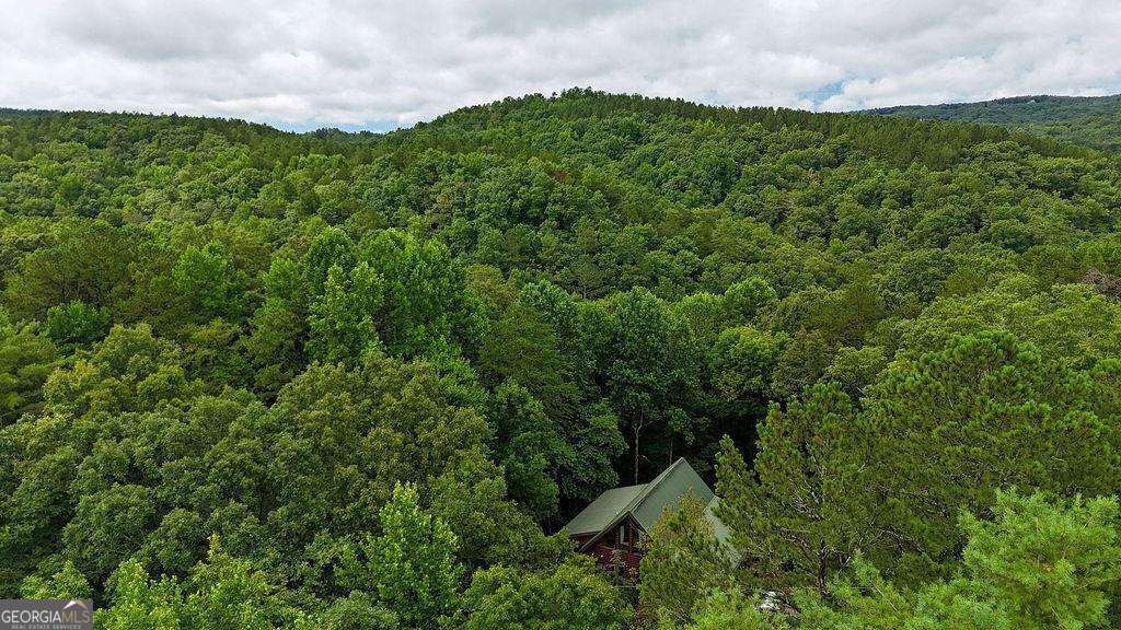 85 Hunter Drive Talking Rock GA 30175