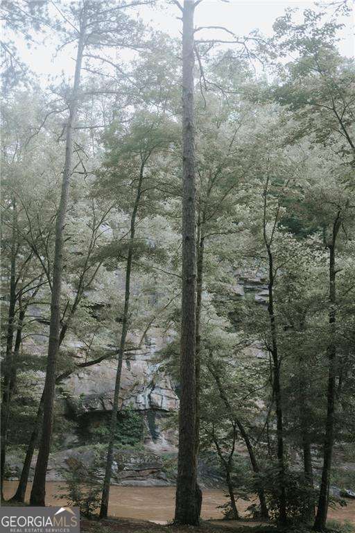85 Hunter Drive Talking Rock GA 30175