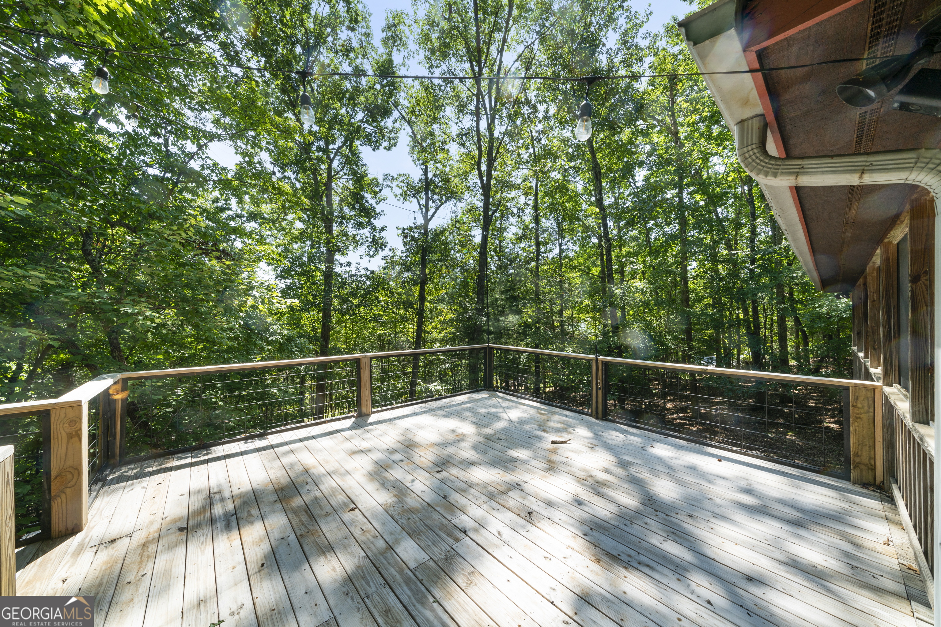 419 Blue Ridge Trail Morganton GA 30560